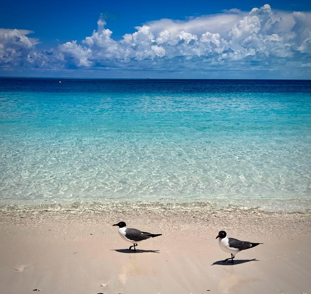 BAHAMAS