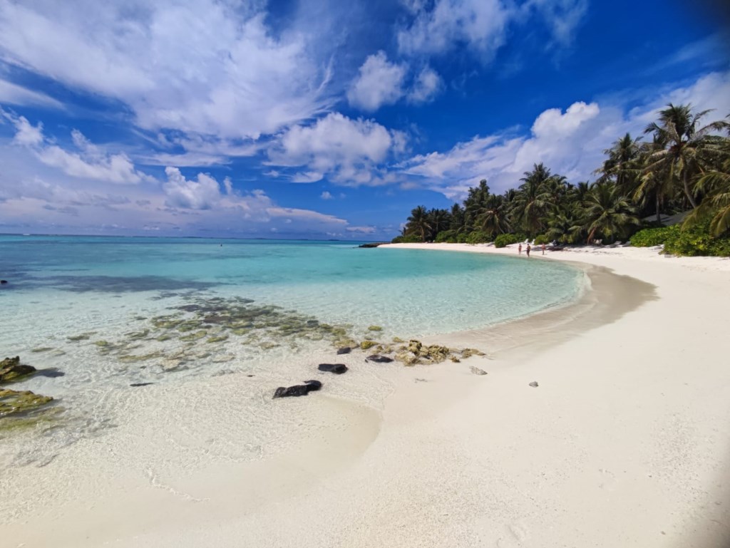MALDIVE