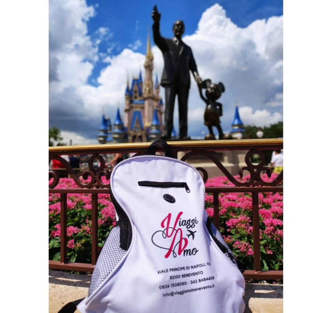 DISNEYWORLD - FLORIDA